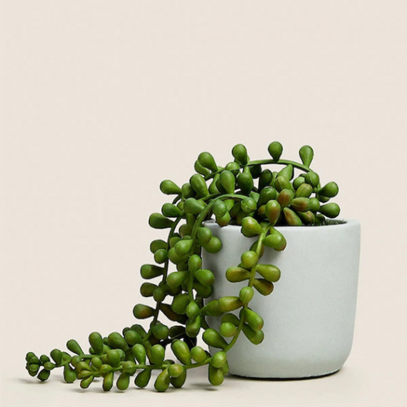 https://fineclothes.in/products/green-artificial-plant-with-pot